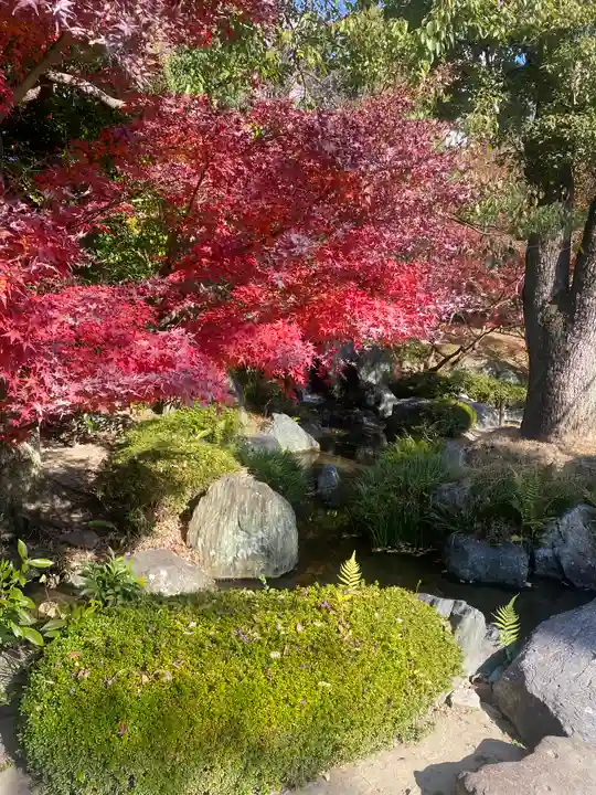 四天王寺(大阪府)