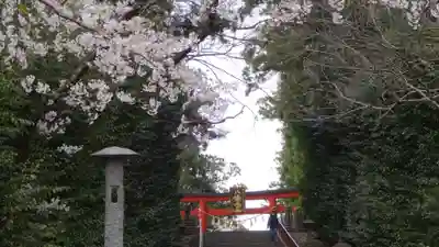 大崎八幡宮のその他建物