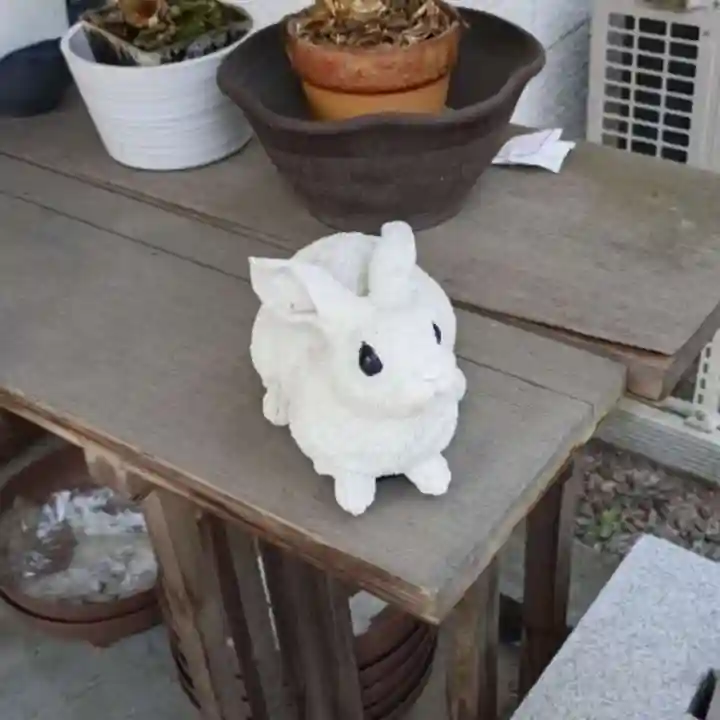 彌彦神社 (伊夜日子神社)の像