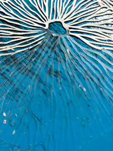 妙泉寺(岐阜県)