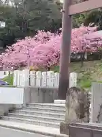 本牧神社の自然
