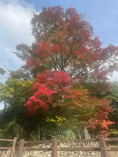 英彦山神宮(福岡県)