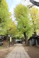 駒込天祖神社(東京都)