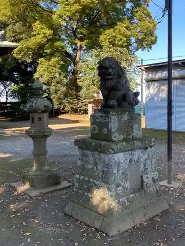 梅宮神社の狛犬