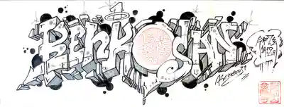 金剛寺の御朱印