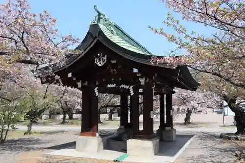 大阪護國神社の手水