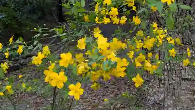 椎尾神社(大阪府)