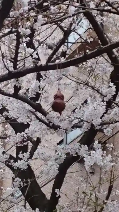秋葉神社(東京都)