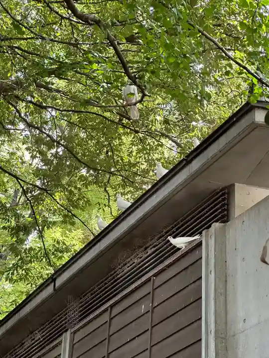 靖國神社(東京都)