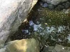 大國魂神社(東京都)