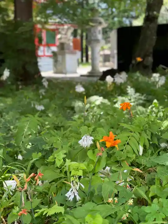 冨士御室浅間神社(山梨県)