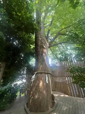 鎮守氷川神社(埼玉県)