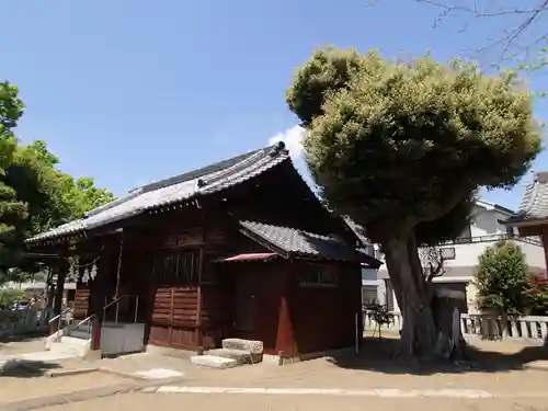女躰神社の本殿・本堂