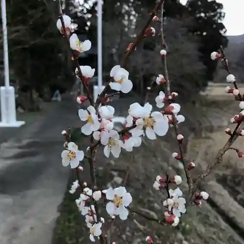 高司神社〜むすびの神の鎮まる社〜の自然