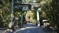 若宮八幡宮(高知県)