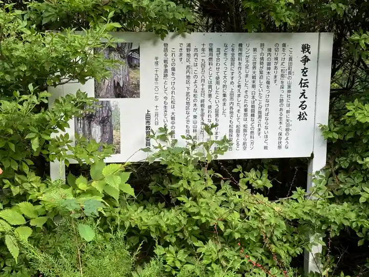 山家神社(長野県)
