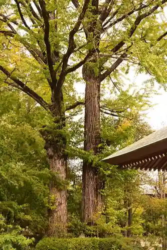 佛山寺(大分県)