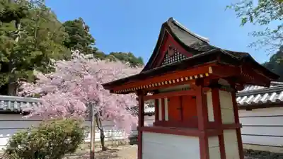 金剛寺(大阪府)