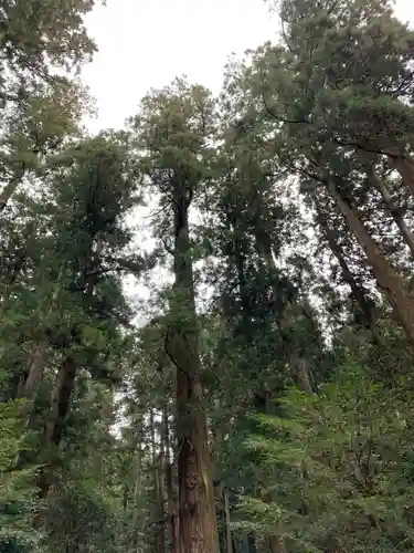 室生龍穴神社の自然