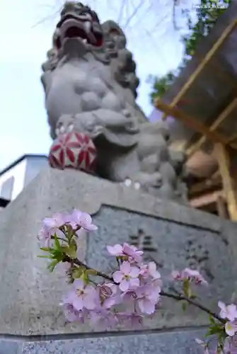 菊名神社の狛犬