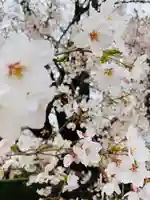 伏木香取神社の自然