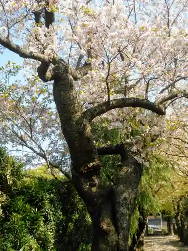 極楽寺（霊鷲山感應院極楽律寺）の自然