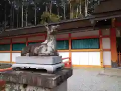 大原野神社の狛犬