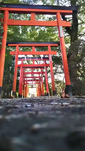 尾曳稲荷神社の鳥居