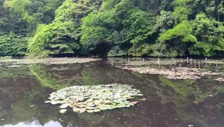明治神宮(東京都)