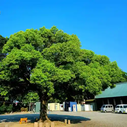 大歳神社(静岡県)