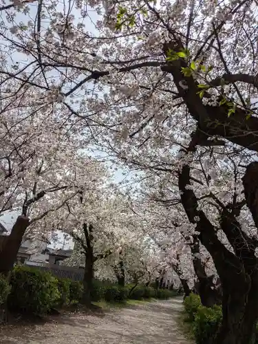 伊多波刀神社(愛知県)