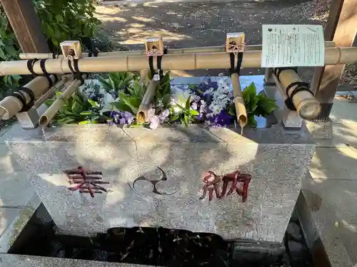 自由が丘熊野神社(東京都)