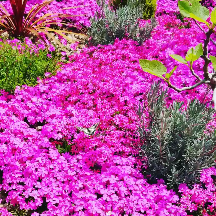 寿量山 速成寺の庭園