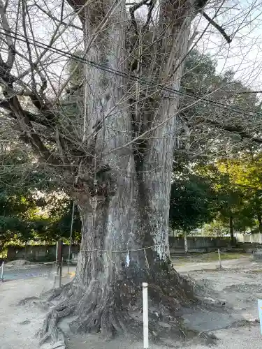 新宮神社(広島県)