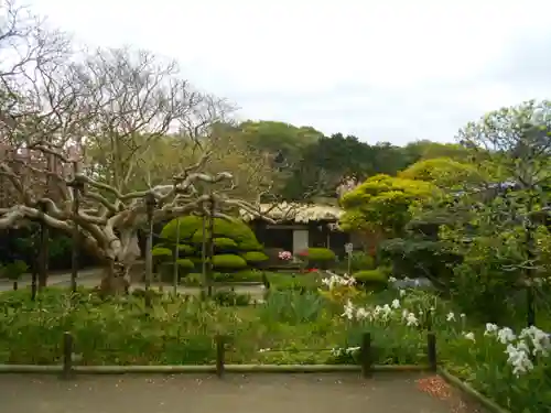 極楽寺（霊鷲山感應院極楽律寺）の庭園