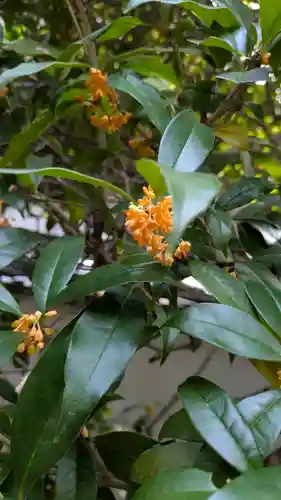 大心院(京都府)