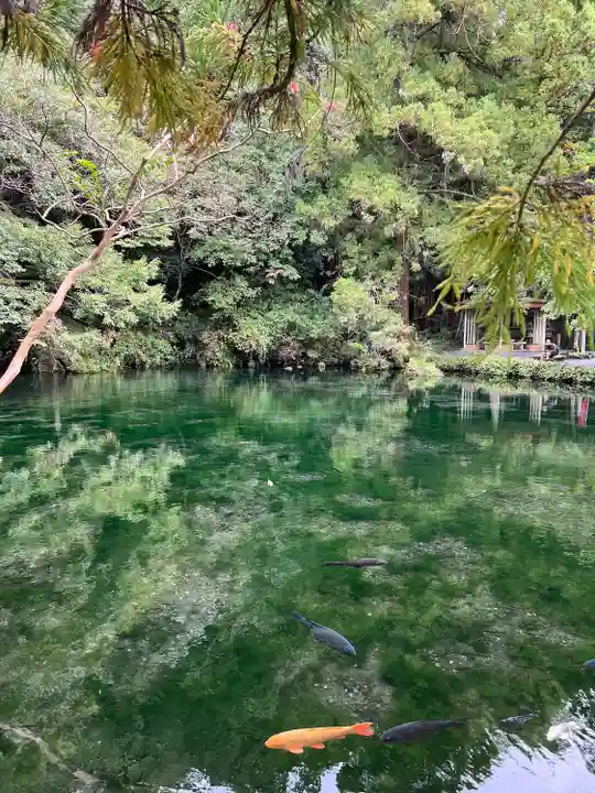 涌釜神社(栃木県)