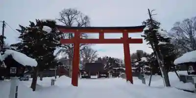 北海道護國神社の鳥居