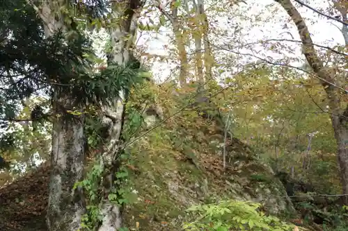 隠津島神社の自然