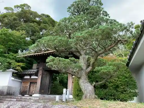 月山寺の山門