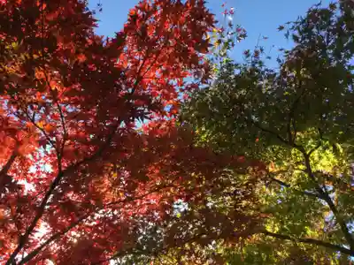 宝徳寺(群馬県)