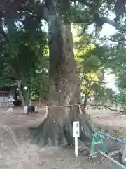 若宮神社(静岡県)