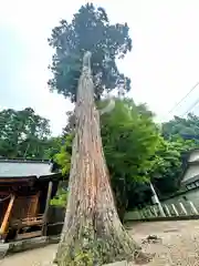 下梨地主神社(富山県)