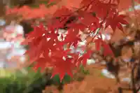 豊景神社の自然