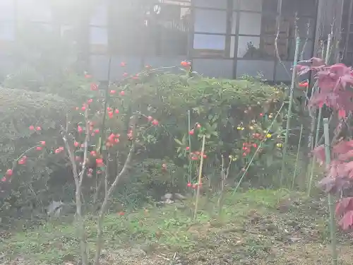 當麻寺 西南院(奈良県)