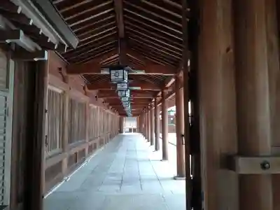 橿原神宮(奈良県)