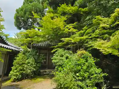 地藏院(京都府)
