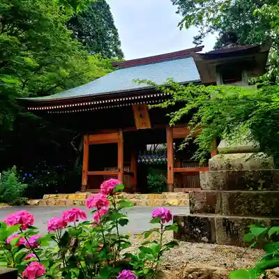 普門寺(切り絵御朱印発祥の寺)(愛知県)