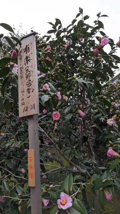 城南宮(京都府)