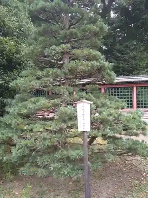 志波彦神社・鹽竈神社(宮城県)